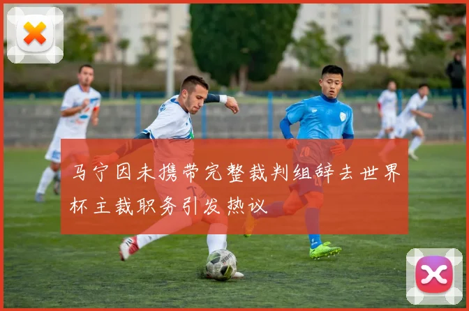 马宁因未携带完整裁判组辞去世界杯主裁职务引发热议