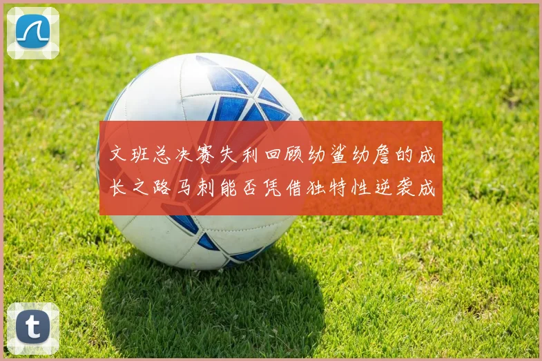 文班总决赛失利回顾幼鲨幼詹的成长之路马刺能否凭借独特性逆袭成功