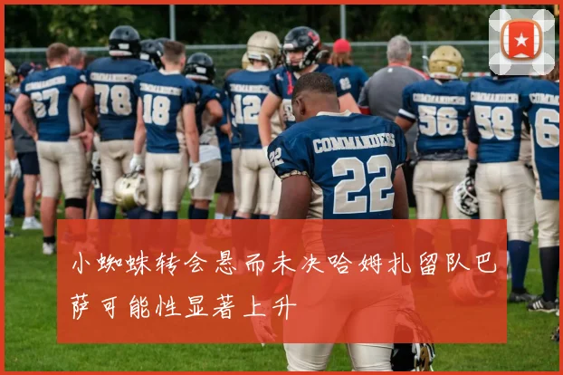 小蜘蛛转会悬而未决哈姆扎留队巴萨可能性显著上升